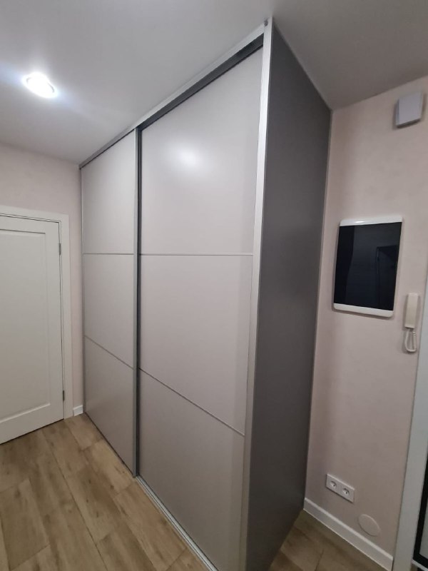 Двери-купе из ЛДСП в прихожую с делителями, чёрный профиль, фото 2