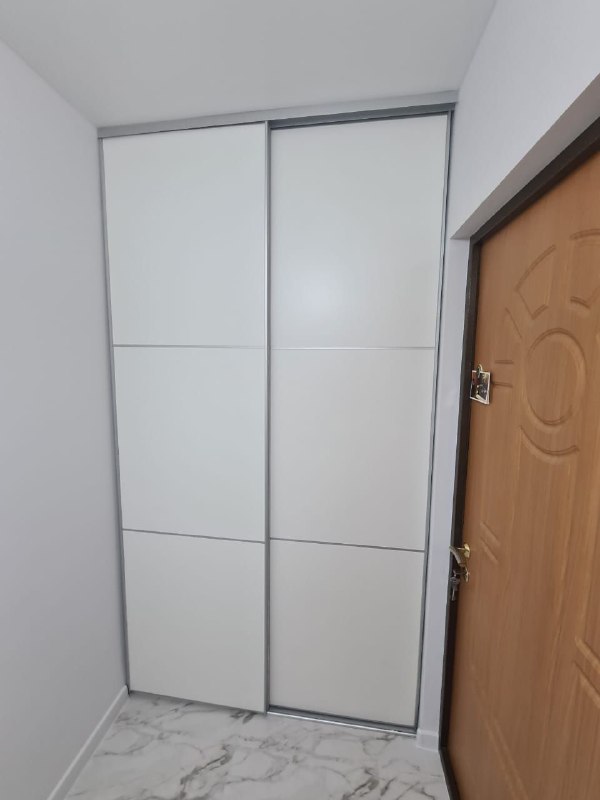 Двери-купе из ЛДСП в прихожую с делителями, серебристый профиль, фото 2
